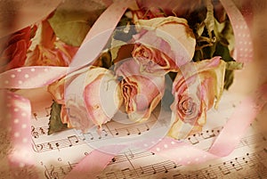 Pink dried roses on old note paper in vintage style