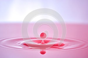 Pink Droplet,taken in Home Studio photo