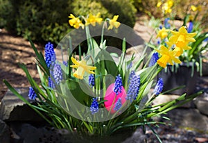 Pink Easter Egg hides in Spring Flower Garden