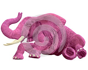 Pink Elephant - 06