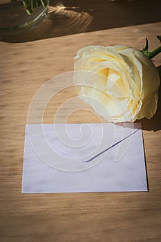 Pink envelope letter and white rose flower on wood table with sunlight