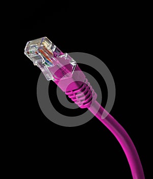 Pink Ethernet Cable