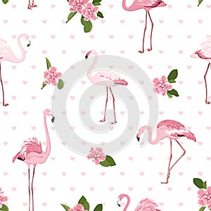 Pink exotic flamingo birds, tropical camelia flowers, green leaves hearts on white background. Stylish seamless pattern.