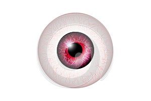 Pink Eye Realistic. Vector Illustration Of 3d Human Glossy Photo Realistic Eye shine and Reflection.