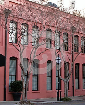 Pink facade, trees and street lantern in Charleston, South Carolina, USA