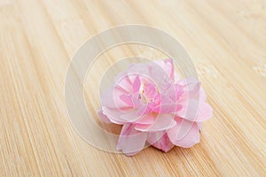 The pink fairy rose flower on the bamboo wood