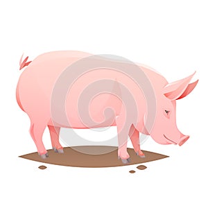 Pink farm pig