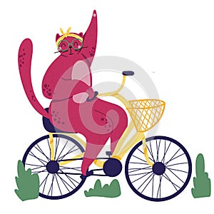 Pink fat cat rides on bicycle. Food basket. Outdoor sport s trip. Fitness lifestyle theme. Design elements for cards, posters, t-