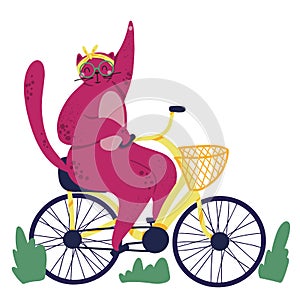 Pink fat cat rides on bicycle. Food basket. Outdoor sport s trip. Fitness lifestyle theme. Design elements for cards, posters, t-