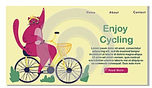 Pink fat cat rides on bicycle. Food basket. Outdoor sport s trip. Fitness lifestyle theme. Design elements for landing, banner.