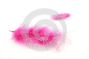 Pink Feather