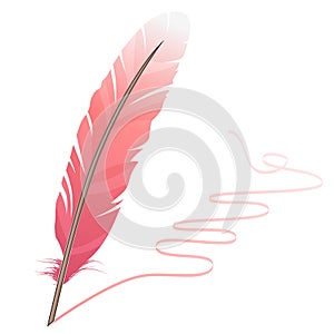 Pink feather
