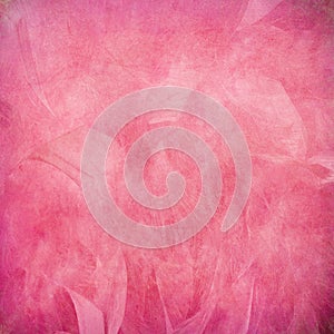 Pink feather abstract