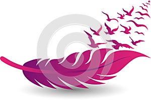 Pink feather and birds fly logo