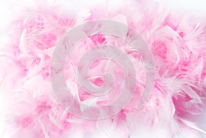 Pink feather boa