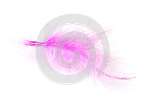 Pink feather isolated