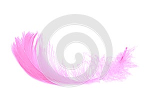 Pink feather isolated on white