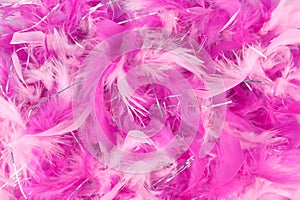 the pink feather party background