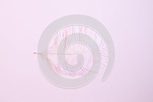 Pink feather on pink background