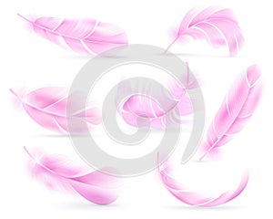 Pink feathers. Bird or angel feather, birds plumage. Flying fluff, falling fluffy twirled flamingo feathers. Realistic photo