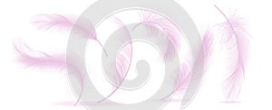 Pink Feathers Set Vector. Different Falling Fluffy Twirled Feathers. Healthy Sleep, Dreams. Isolated Illustration