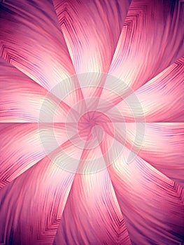 Pink Feathers Swirl Pattern
