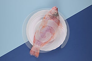 Pink fish on a white plate, perch. Photograph of food against a bright background