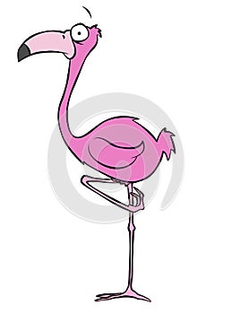 Pink Flamingo