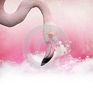 Pink flamingo background