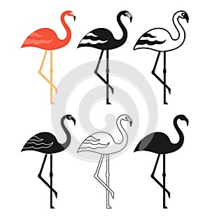 Pink flamingo bird cartoon style set tropical exotic bird cute summer symbol doodle modern character