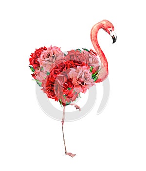 Pink flamingo bird with floral heart. Red, pink rose flowers. Watercolor for Valentine day