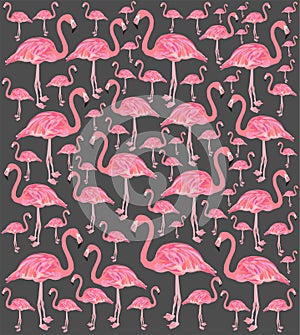 Pink flamingo bird vector silhouette illustration isolated on black background.