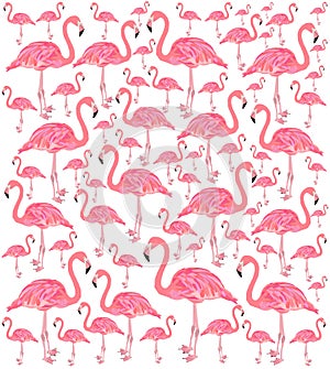 Pink flamingo bird vector silhouette illustration isolated on white background