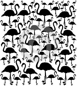 Pink flamingo bird vector silhouette illustration isolated on white background