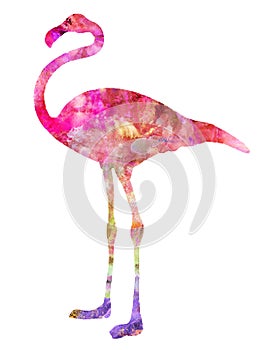 Pink Flamingo Bird Watercolor Painting