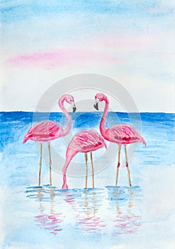 Pink flamingo birds in water. Art illustration watercolor painting