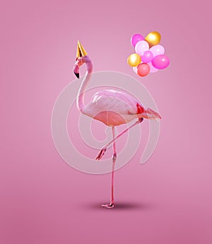 Pink flamingo in birthday cap with party helium balloons