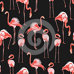 Pink flamingo, black background. Floral seamless pattern. Tropical illustration.
