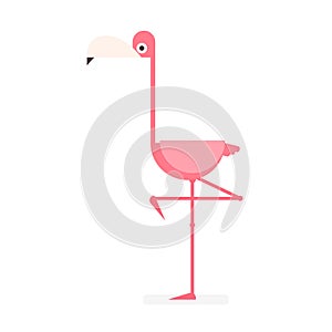 Pink flamingo cartoon vector illustration