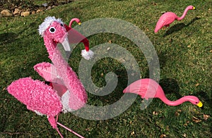 Pink flamingo Christmas lawn ornaments standing on green grass