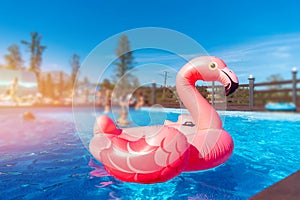 Pink flamingo circle in turquoise water sunny day. Concept Summer pool party background