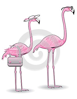 Pink Flamingo Couple