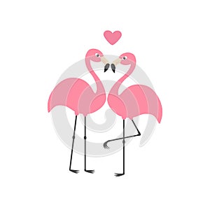 Pink flamingo couple and heart. Exotic tropical bird. Zoo animal collection. Cute cartoon character. Love greeting card. Flat desi