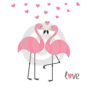 Pink flamingo couple and hearts. Word love. Exotic tropical bird. Zoo animal collection. Cute cartoon character. Greeting card. Fl