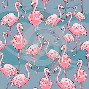 Pink flamingo. Cute African bird. Seamless vector pattern. Tropical gentle background for surface, textile, fabric for