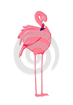 Pink flamingo. Cute and beautiful flat pink flamingo on white background, summer design for print, kids drawing, design