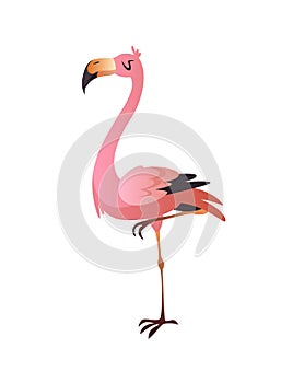 Pink flamingo. Cute beautiful jungle or zoo cartoon bird, wildlife exotic print. Vector single isolated illustration