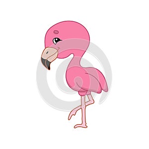 Pink flamingo. Cute character. Colorful vector illustration. Cartoon style. Isolated on white background. Design element. Template