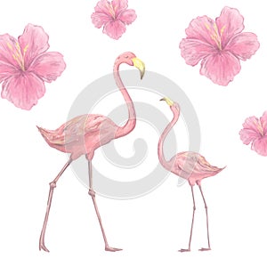 Pink flamingo digital clip art cute pink bird and flowerson white background