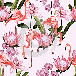 Pink flamingo and exotic orchid protea flowers, pink background. Floral seamless pattern.